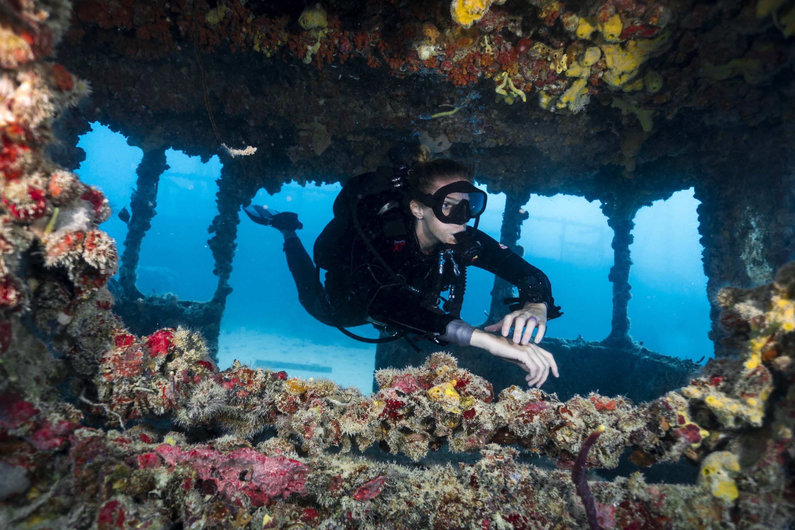 Pure Diving Aruba - Aruba's Eco Dive Center - SDI & PADI - Home Page